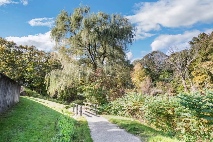 Willow tree and walking path with bridge